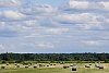 Hay bales on the field