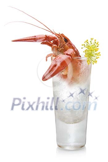 Isolated glass with a crab and ice