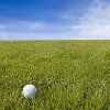 Golf ball in the grass