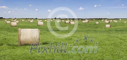 Hay bales on a green grass field