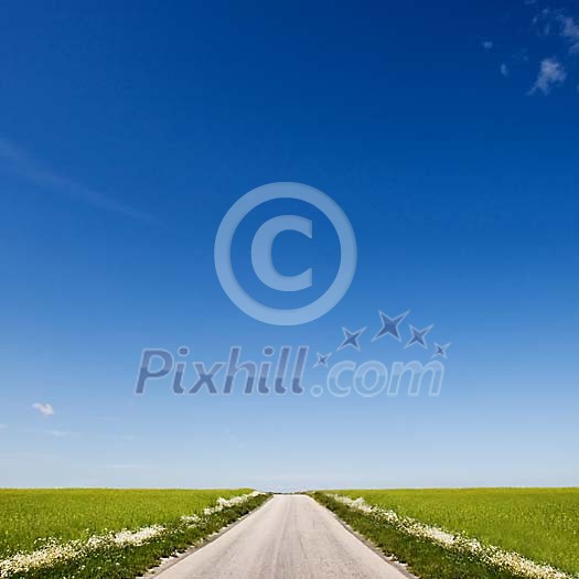 Empty road under a blue sky