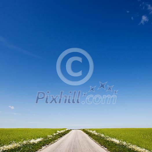 Empty road under a blue sky Empty road under a blue sky