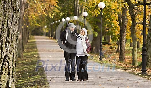 Elderly couple walking together in autumn park