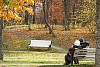 Elderly couple sitting on bench in autumn park