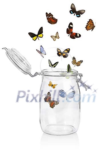 Colorful butterflies flying out from glass jar