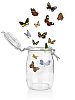 Colorful butterflies flying out from glass jar