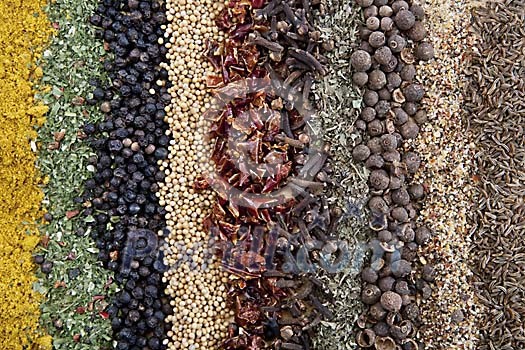 Stripes of different spices background Stripes of different spices background