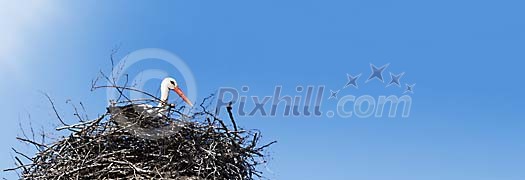Stork in her nest against blue sky Stork in her nest against blue sky