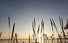 Hay by the sea in front of sun