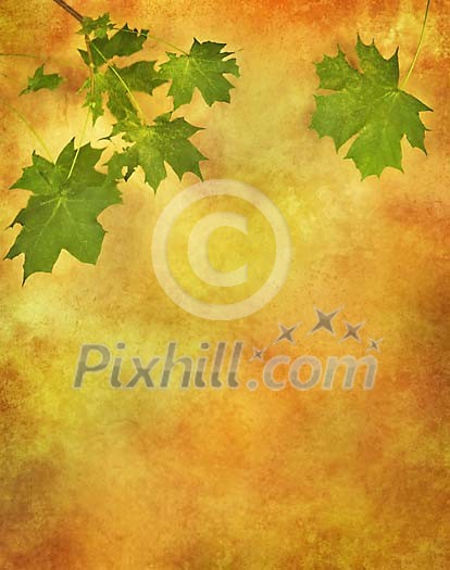 Maple leafs against autumn colors background Maple leafs against autumn colors background