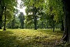 View of autumn park