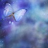 Blue background with sparkles and butterflies