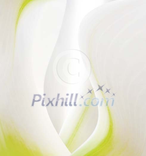 Macro image of a white tulip