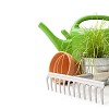 Watering can with rake and pot of grass