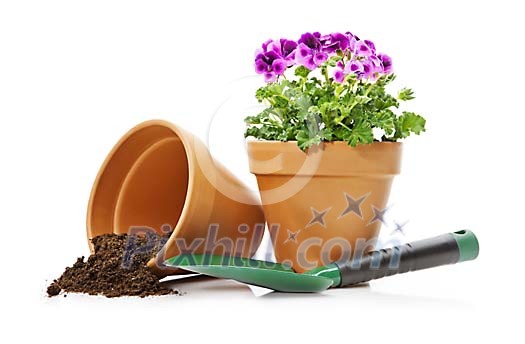 Flowerpot with shovel and dirt