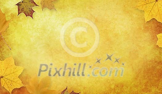 Autumn colours background