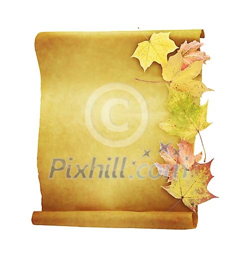 Brown paper with maple leaves, clipped Brown paper with maple leaves, clipped