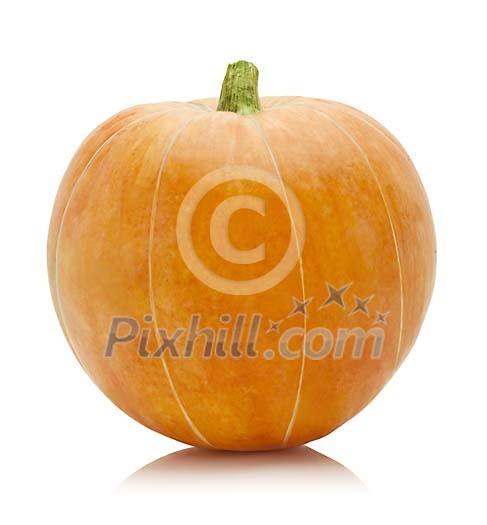 Clipped orange pumpkin