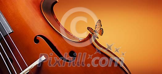 Butterfly sitting on the cello