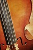 Cello background image