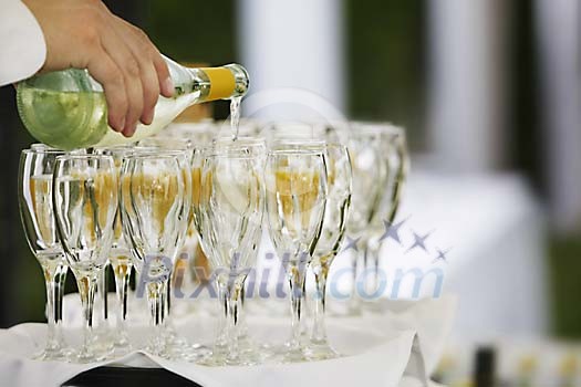Tray of champagne glasses being filled Tray of champagne glasses being filled