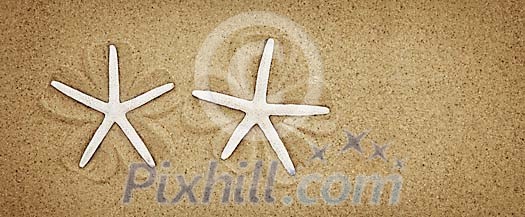 Seastars on the sand Seastars on the sand