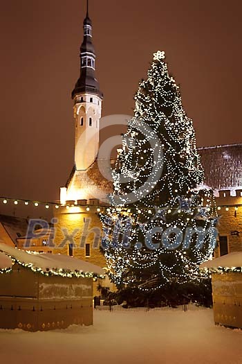 Big christmas tree in Tallinn old town Big christmas tree in Tallinn old town