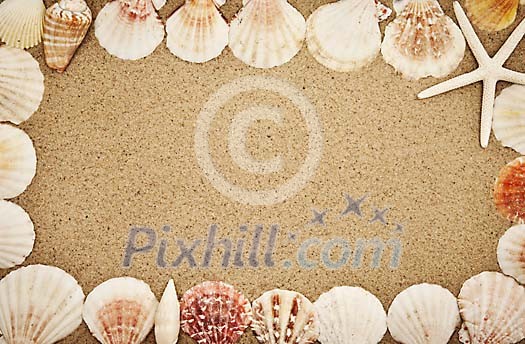 Frame made of seashells on the sand Frame made of seashells on the sand