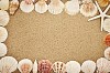 Frame made of seashells on the sand