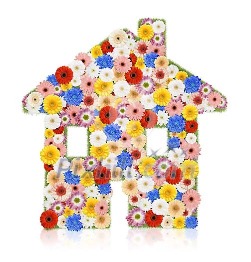 Flowers shaped as a house on a white background