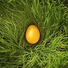 Yellow easter egg in the grass