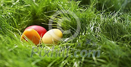 Three easter eggs hidden in the grass