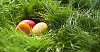Three easter eggs hidden in the grass