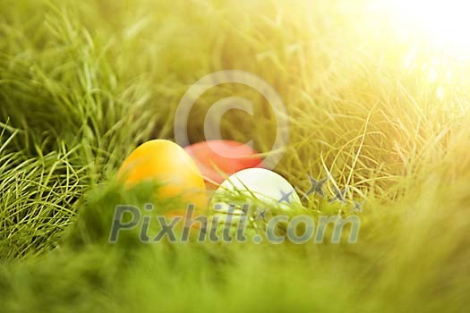 Three eggs on the grass under sunshine Three eggs on the grass under sunshine