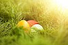 Three eggs on the grass under sunshine