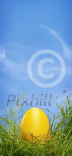 Yellow egg on the grass under the blue sky