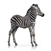 Clipped baby zebra