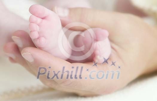 Hand holding babys feet