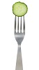 Clipped fork with a slice of cucumber