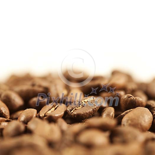 Closeup of a coffee beans