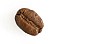 One brown coffee bean on a white background