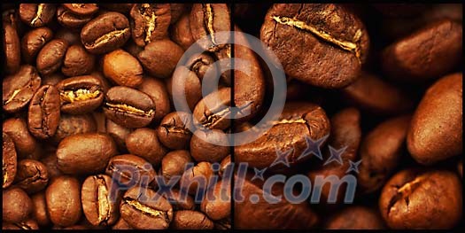Different closeups of coffee beans