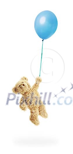 Teddy bear flying with a blue balloon
