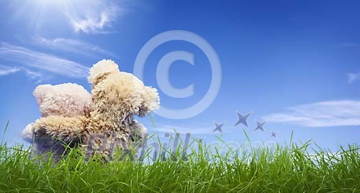 Two teddy bears sitting on the grass