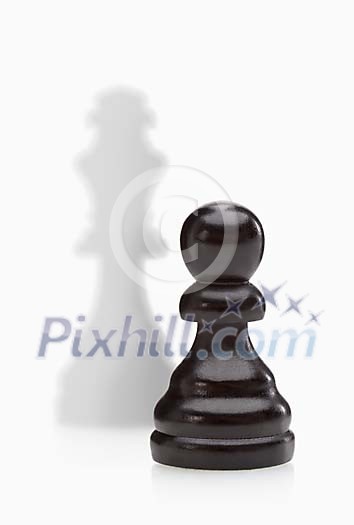 Black pawn with white king behind it