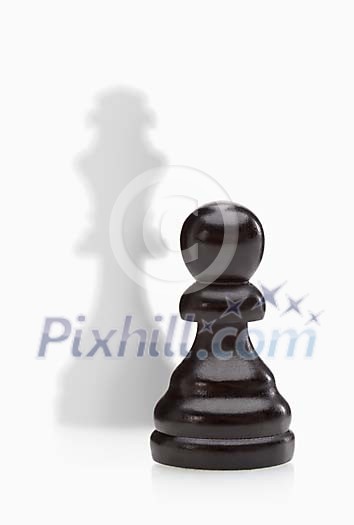 Black pawn with white king behind it Black pawn with white king behind it