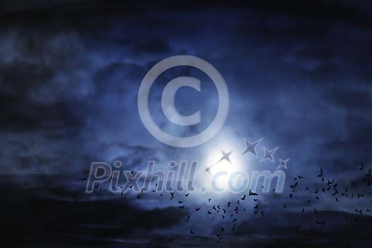 Birds or bats flying in moonlight Birds or bats flying in moonlight