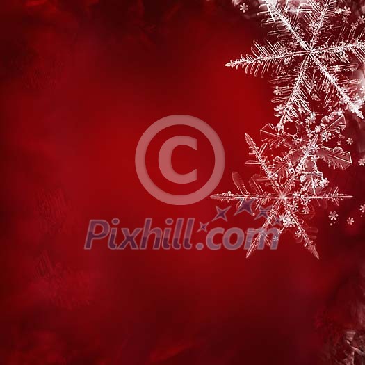 Snowflakes on a red background