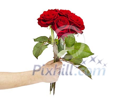 Isolated hand giving a bouquet of roses