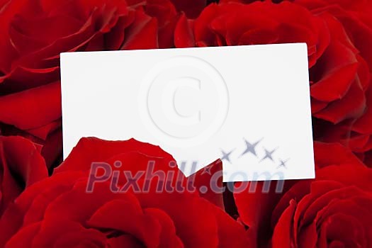 White paper surrounded with red roses White paper surrounded with red roses